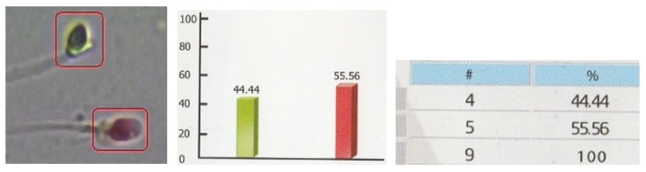 q5.jpg